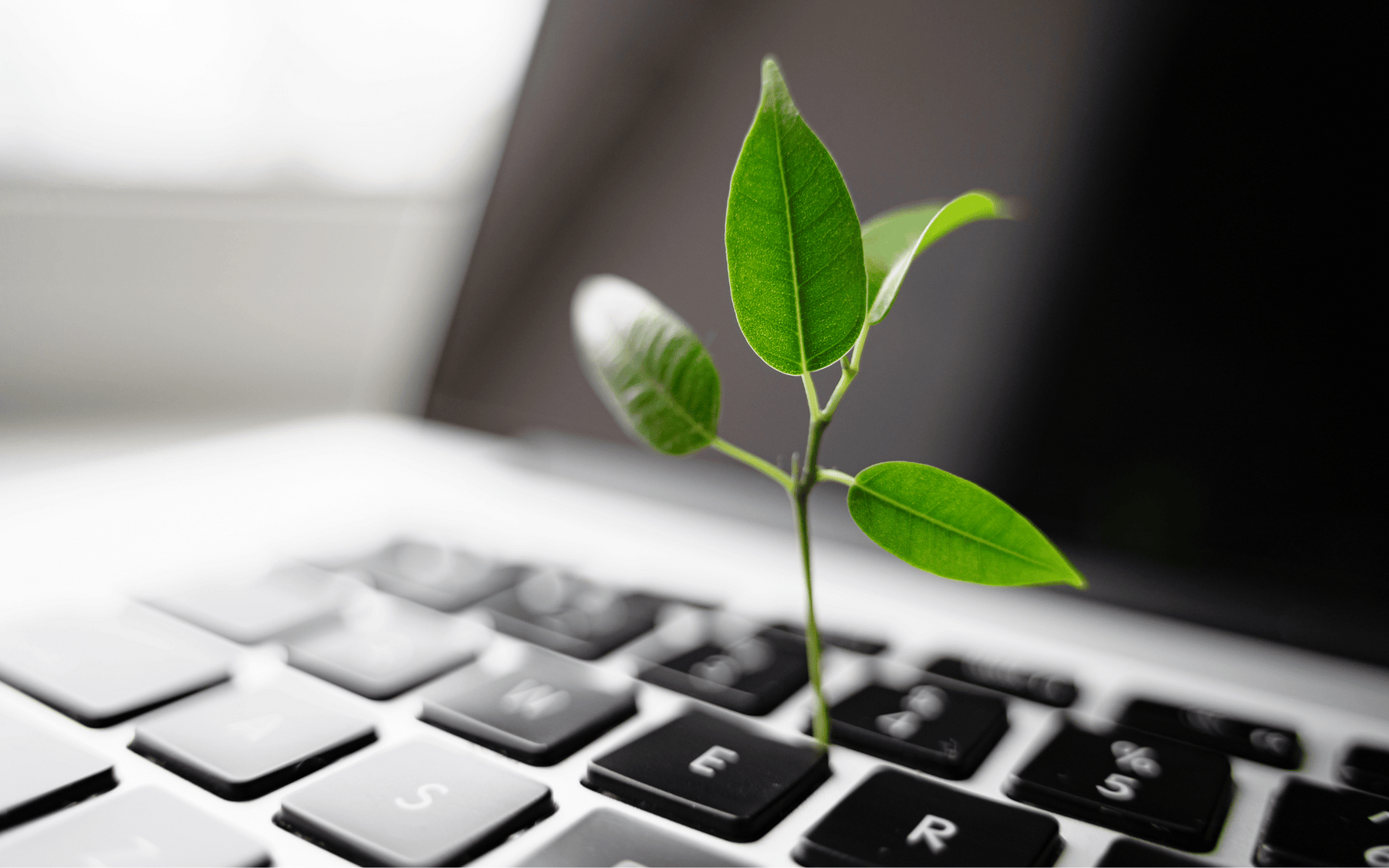 Repasované IT zariadenia: Udržateľná voľba pre moderný svet 🌍💻