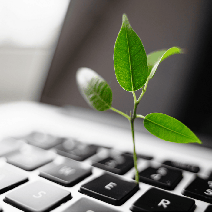 Repasované IT zariadenia: Udržateľná voľba pre moderný svet 🌍💻